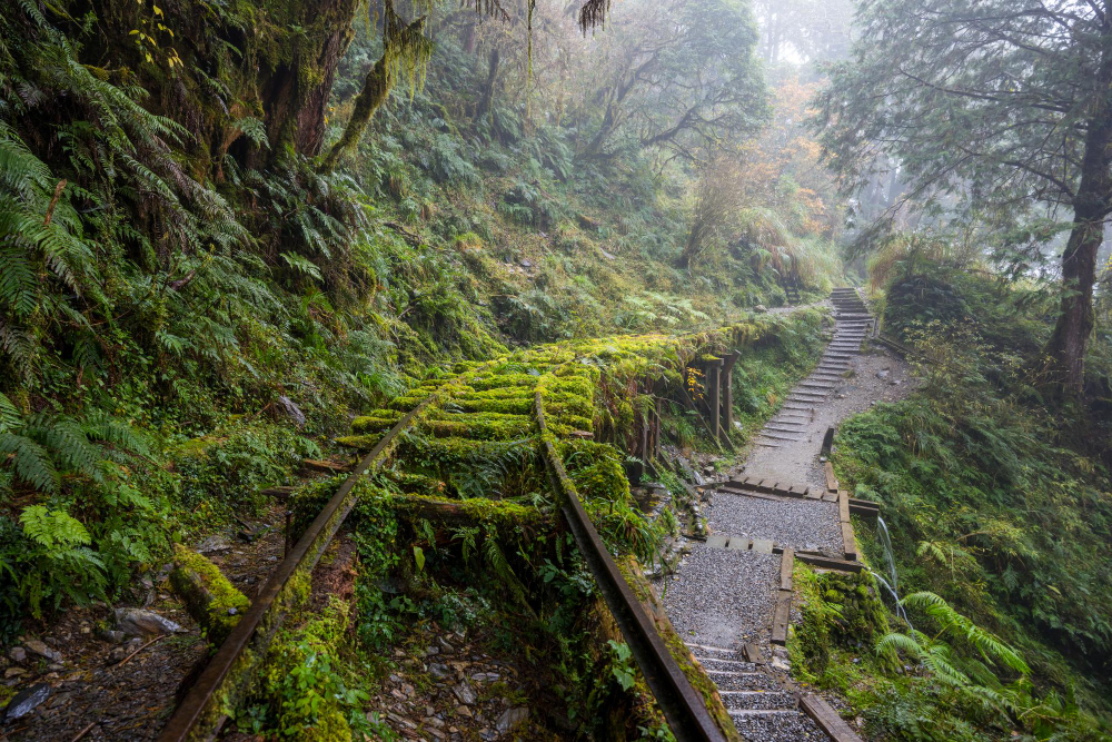 台灣秘境包車旅遊｜太平山眺望雲海踏古道｜信佑包車旅遊、機場接送